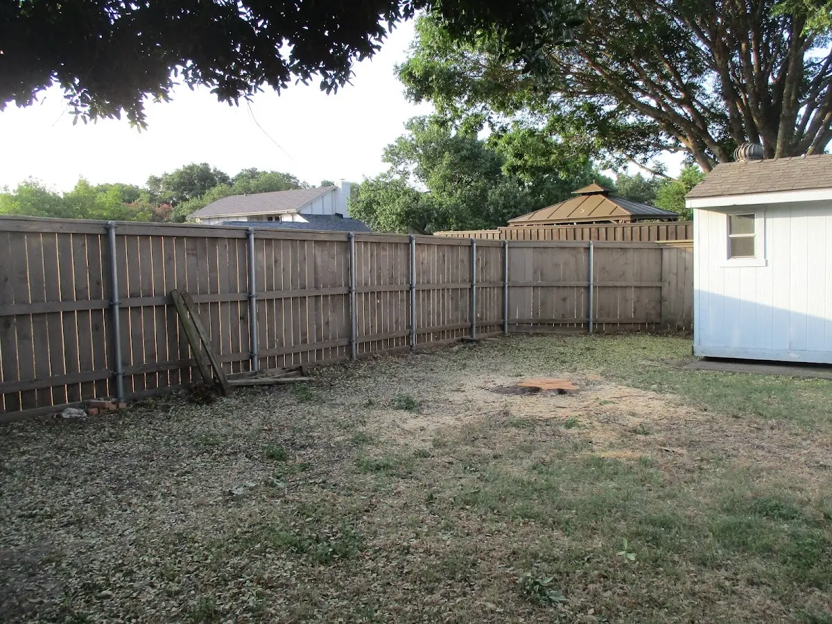 Cleared yard after professional tree removal in Nekoma